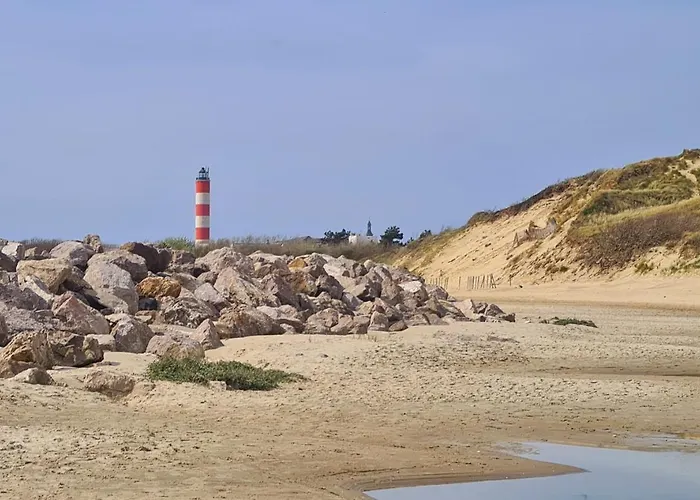 Studio 25 M2 A 100M De La Plage
